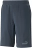 Шорты Puma ESS ELEVATED Shorts 10 TR 67517416 в Екатеринбурге в Екатеринбурге