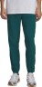 Брюки Under Armour UA Vibe Woven Jogger 1386557-338 в Екатеринбурге  в Екатеринбурге 
