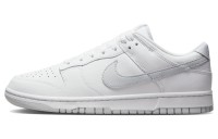 Кеды Nike Dunk Low Retro White Pure Platinum DV0831-101