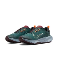 Кроссовки Nike Juniper Trail 2 Gore-Tex FB2067-300 в Екатеринбурге  в Екатеринбурге 