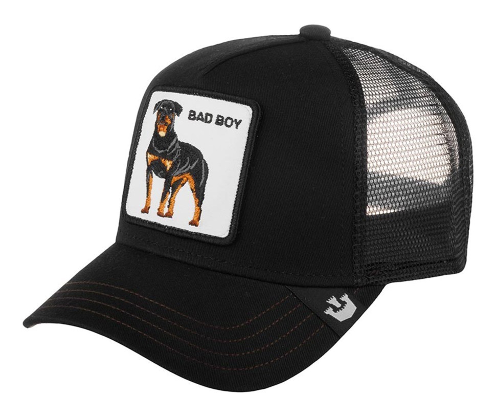 Бейсболка GOORIN BROTHERS ANIMAL FARM NAUGHTY PUP 201-0035 (черный) 91-732-09-00 в Екатеринбурге  в Екатеринбурге 