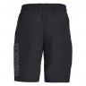Шорты Under Armour Woven Graphic Shorts 1329496-001 в Екатеринбурге  в Екатеринбурге 