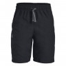 Шорты Under Armour Woven Graphic Shorts 1329496-001 в Екатеринбурге  в Екатеринбурге 