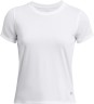 Футболка Under Armour UA Launch Shortsleeve 1382434-100