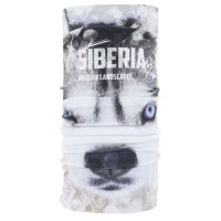 Бандана Buff Thermonet Siberia 135037.000.10.00 в Екатеринбурге  в Екатеринбурге 