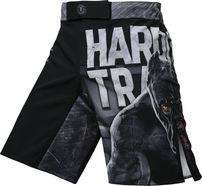 Шорты Hardcore Training х Ground Shark The Moment of Truth hctshorts098 в Екатеринбурге  в Екатеринбурге 