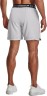 Шорты Under Armour UA Vanish Woven 6in Shorts 1373718-014 в Екатеринбурге  в Екатеринбурге 