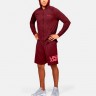 Джемпер Under Armour TECH 2.0 FZ HOODIE 1354028-615 в Екатеринбурге  в Екатеринбурге 