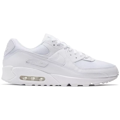 Кроссовки Nike AIR MAX 90 365 CN8490-100