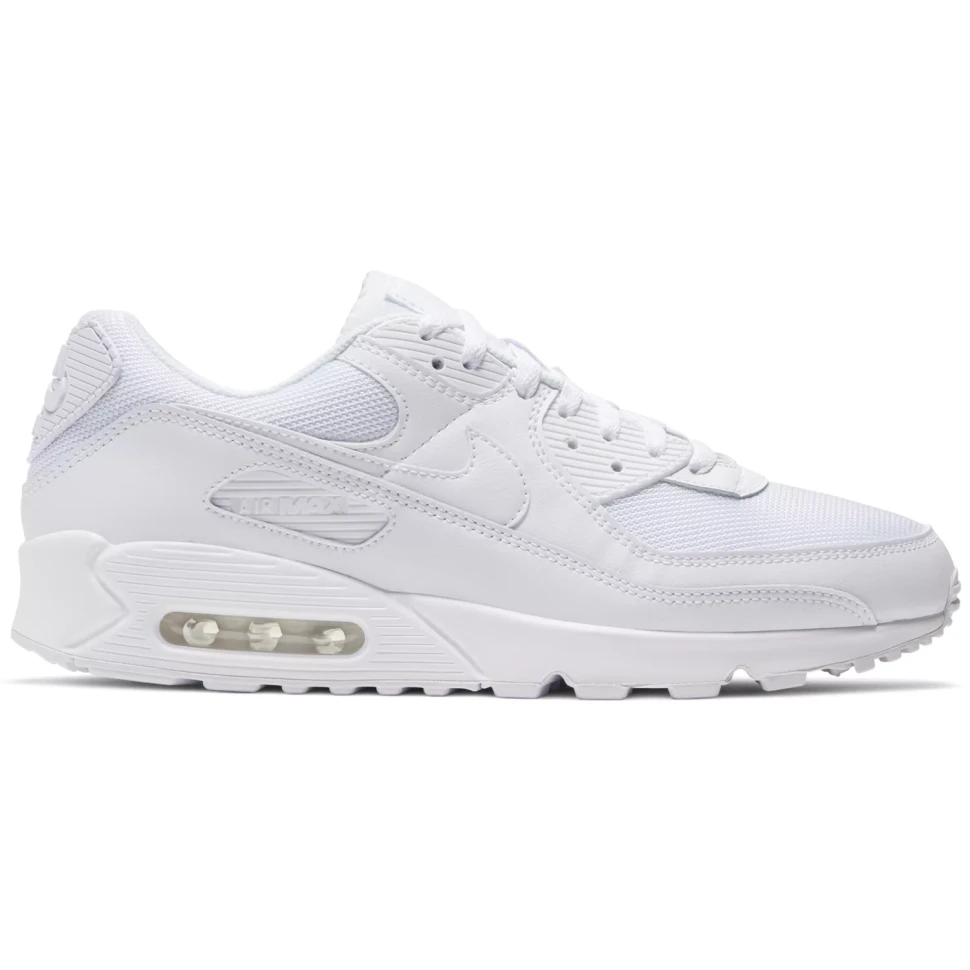 Кроссовки Nike AIR MAX 90 365 CN8490-100