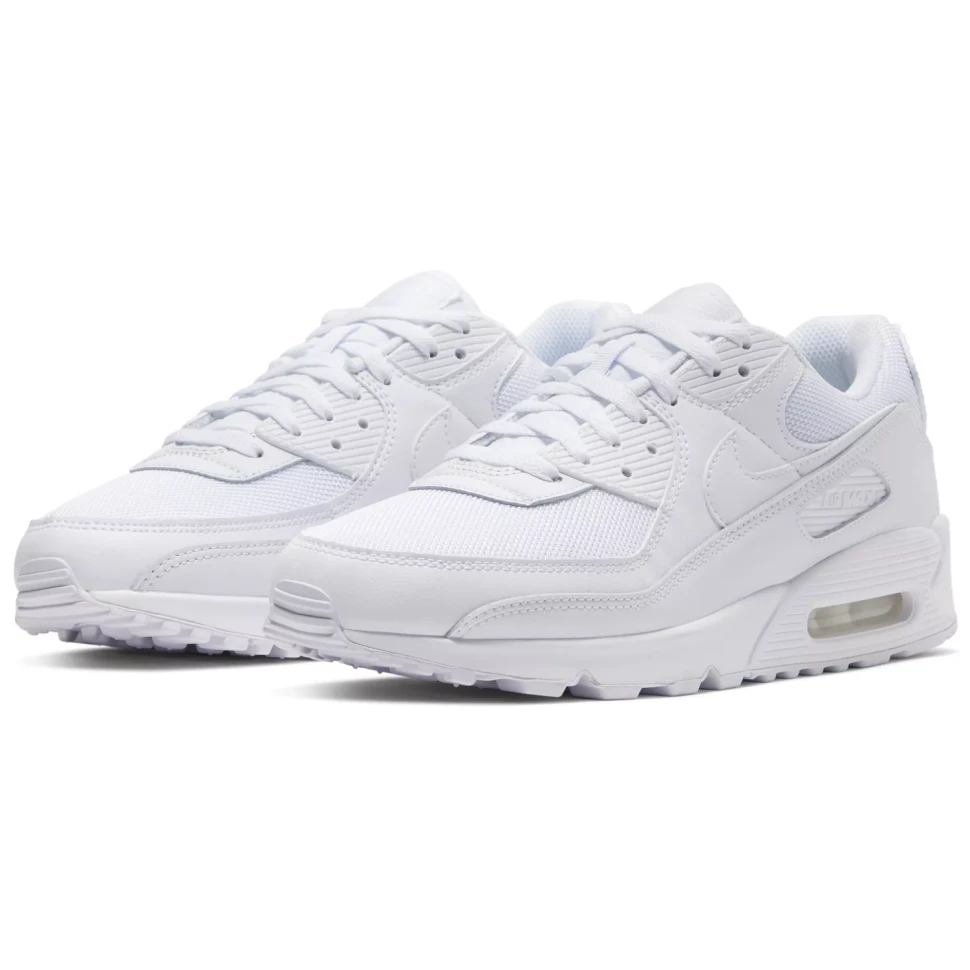 Кроссовки Nike AIR MAX 90 365 CN8490-100