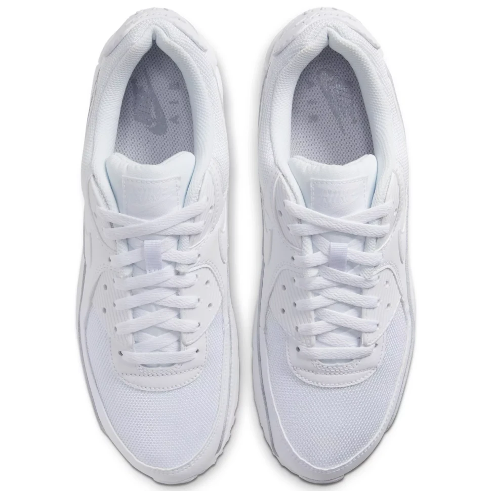 Кроссовки Nike AIR MAX 90 365 CN8490-100