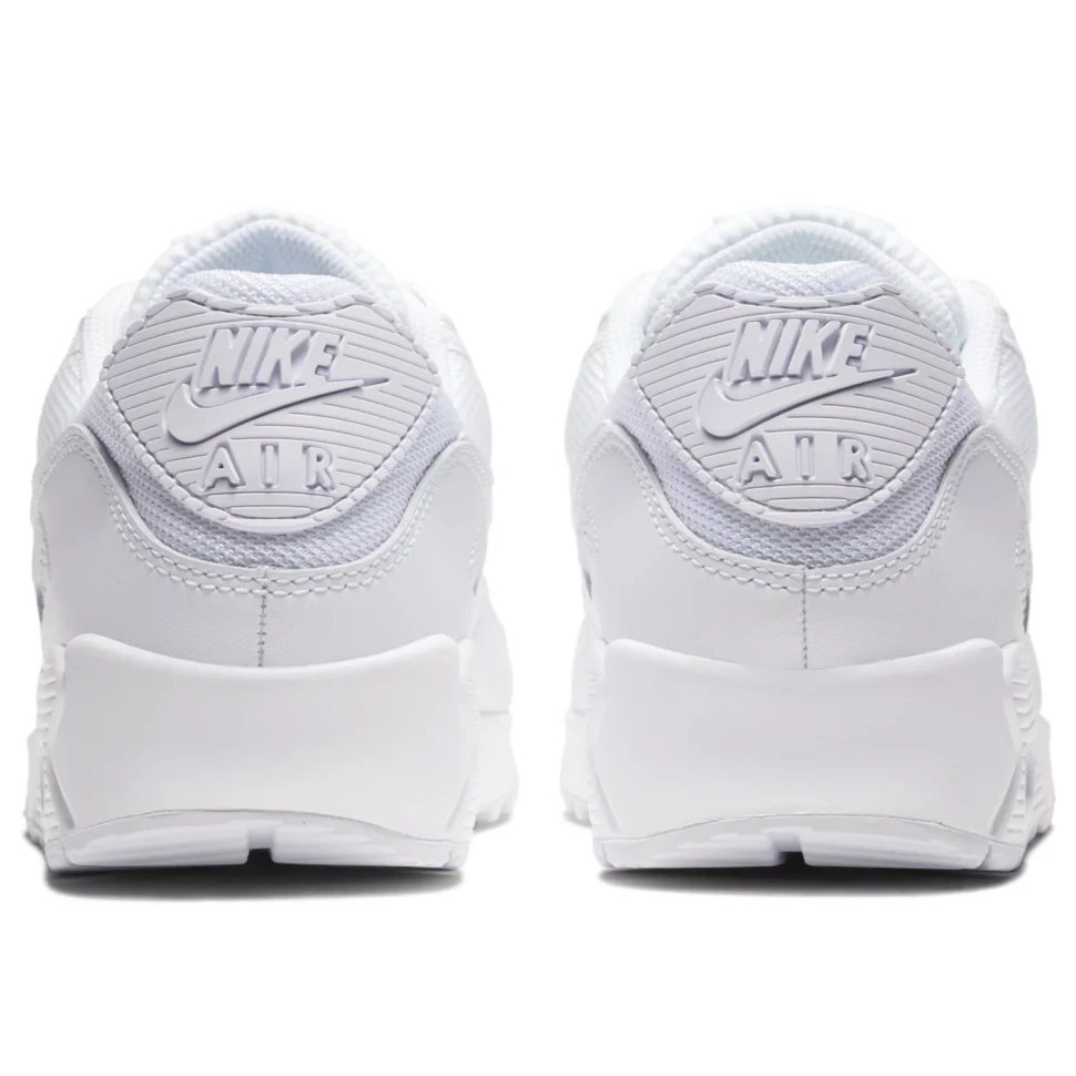 Кроссовки Nike AIR MAX 90 365 CN8490-100