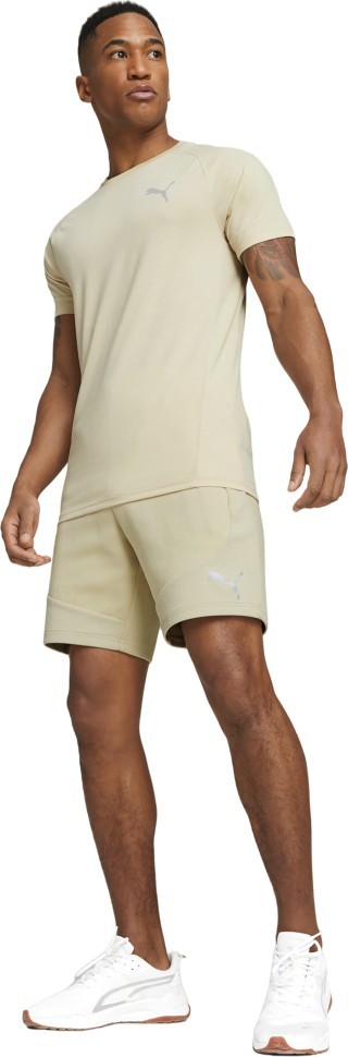 Футболка Puma EVOSTRIPE Tee 67331188 в Екатеринбурге  в Екатеринбурге 