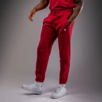 Брюки спортивные Venum Silent Power Joggers - Cherry Red Ven05016-003 в Екатеринбурге  в Екатеринбурге 