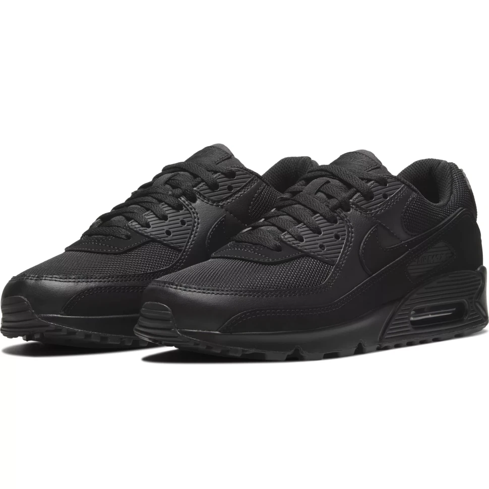 Кроссовки Nike AIR MAX 90 365 CN8490-003
