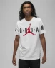 Футболка Nike Jordan M J Jd Air Stretch Ss Crew 1 DV1445-100 в Екатеринбурге  в Екатеринбурге 