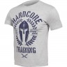 Футболка Hardcore Training Helmet Grey hctshirt0331 в Екатеринбурге в Екатеринбурге