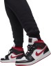 Брюки Nike Jordan M J Ess Flc Baseline Pant FD7345-010 в Екатеринбурге  в Екатеринбурге 