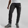 Брюки Puma EVOSTRIPE Pants DK 67331551 в Екатеринбурге  в Екатеринбурге 