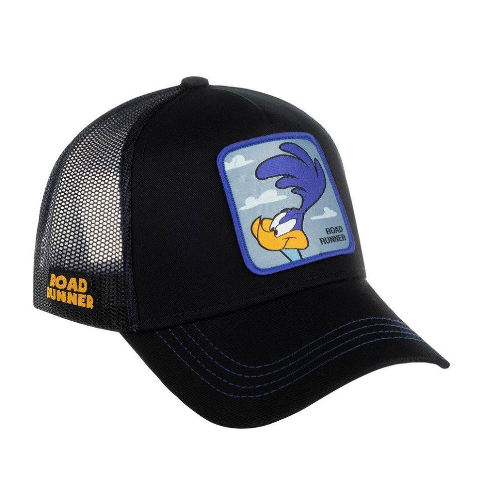 Бейсболка CAPSLAB Looney Tunes Road Runner CL/LOO/1/ROA1 88-244-06-00 в Екатеринбурге  в Екатеринбурге 