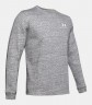 Футболка с длинным рукавом Under Armour SPORTSTYLE TERRY LOGO CREW 1355629-112 в Екатеринбурге  в Екатеринбурге 