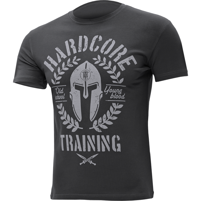 Футболка Hardcore Training Helmet Slate Gray hctshirt0482 в Екатеринбурге  в Екатеринбурге 