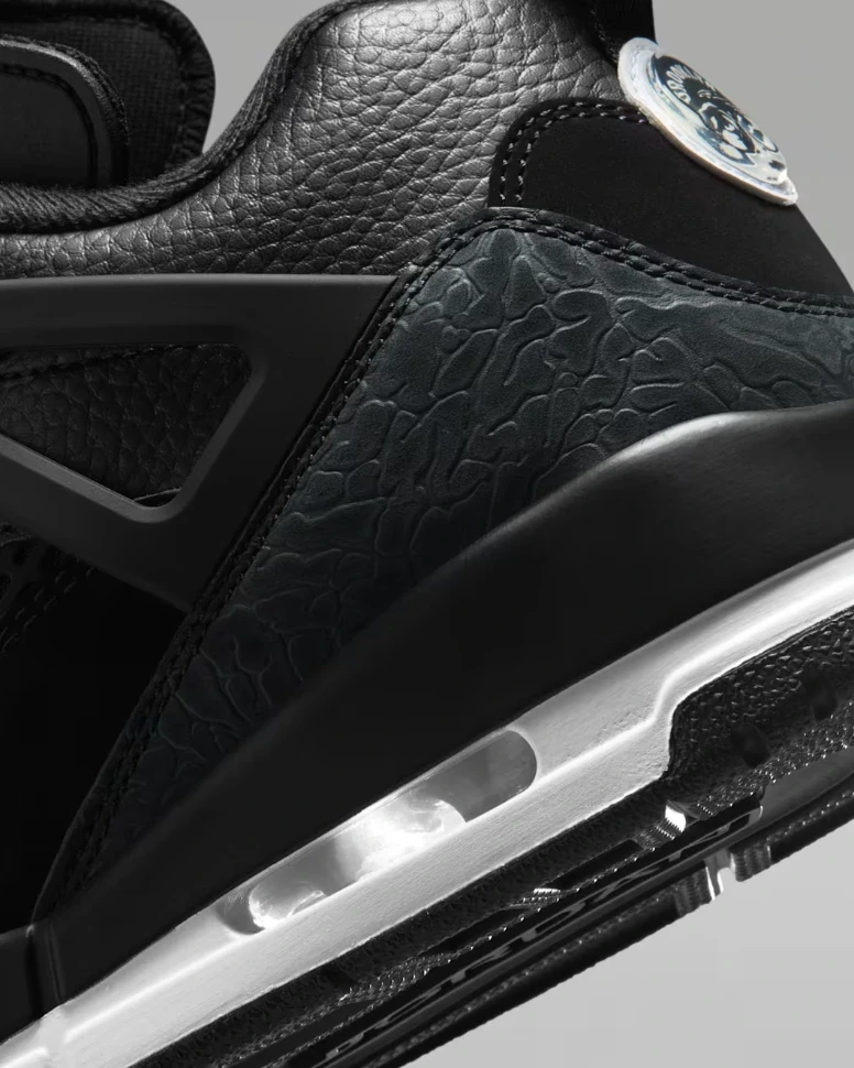 Кроссовки Nike JORDAN SPIZIKE LOW FQ1759-010