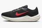 Кроссовки NIKE AIR WINFLO 10 DV4022-002