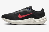 Кроссовки NIKE AIR WINFLO 10 DV4022-002