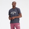 Футболка New Balance MT33554-ACK в Екатеринбурге  в Екатеринбурге 