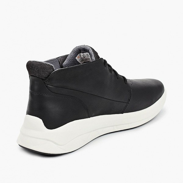 Ботинки Timberland TBLA42F1M в Екатеринбурге  в Екатеринбурге 