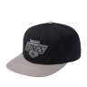 Бейсболка AMERICAN NEEDLE 21006A-LAK Los Angeles Kings 400 Series NHL чер свет-сер) 06-855-10-00
