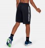 Шорты Under Armour Prototype Wordmark Shorts 1333604-001 в Екатеринбурге  в Екатеринбурге 
