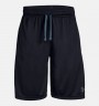 Шорты Under Armour Prototype Wordmark Shorts 1333604-001 в Екатеринбурге  в Екатеринбурге 