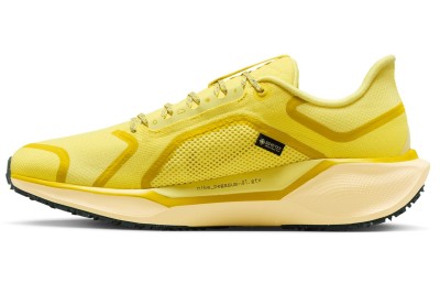 Кроссовки Nike AIR ZM PEGASUS 41 GTX FQ1356-700
