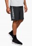Шорты Under Armour Woven Graphic Wordmark Short 1320203-001 в Екатеринбурге в Екатеринбурге