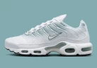 Кроссовки Nike W AIR MAX PLUS DZ3670-100