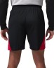 Шорты Nike M J SPT BB SHORT IQ5775-010