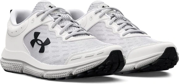Кроссовки Under Armour UA Charged Assert 10 3026175-104 в Екатеринбурге  в Екатеринбурге 