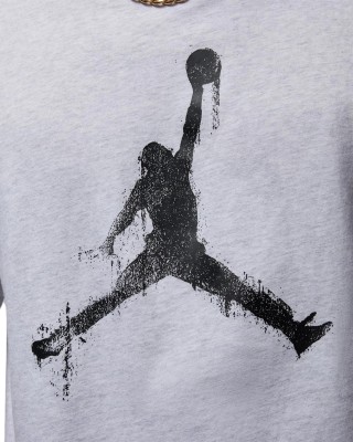 Футболка Nike M J BRK COL JUMPMAN SS CREW HQ8925-051