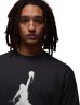 Футболка Nike M J BRK COL JUMPMAN SS CREW HQ8925-010 в Екатеринбурге  в Екатеринбурге 